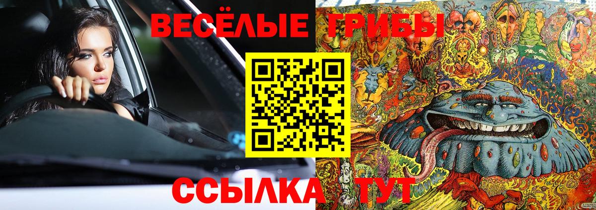 Псилоцибиновые грибы GOLDEN TEACHER  Галлюциногенные грибы Psilocybe  Горячий Ключ  что такое наркотик  Вход с VPN 