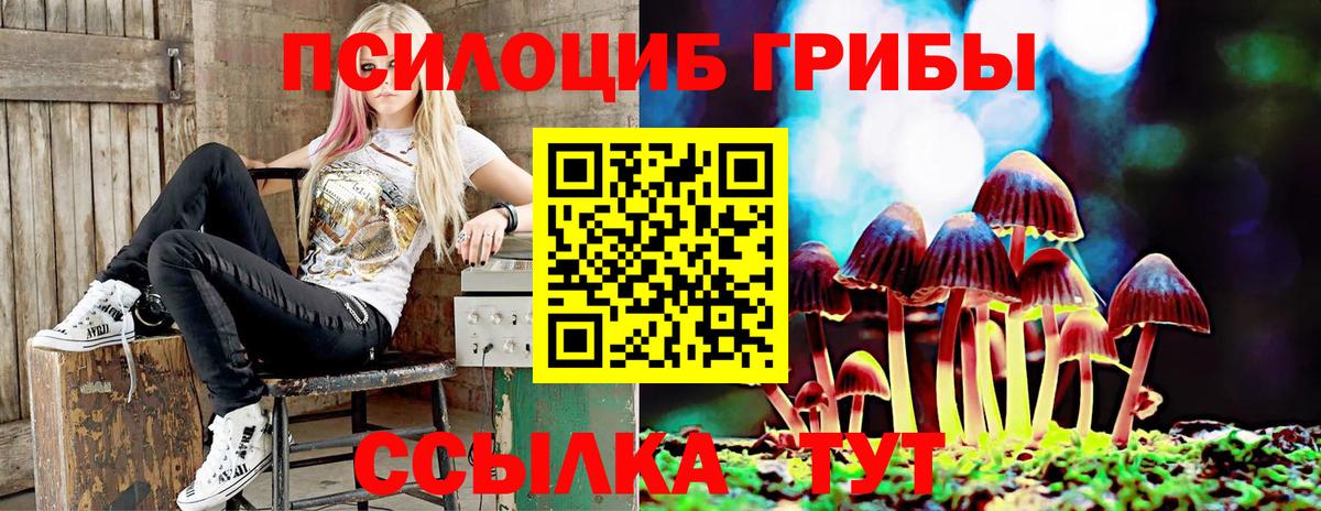 Галлюциногенные грибы прущие грибы Горячий Ключ